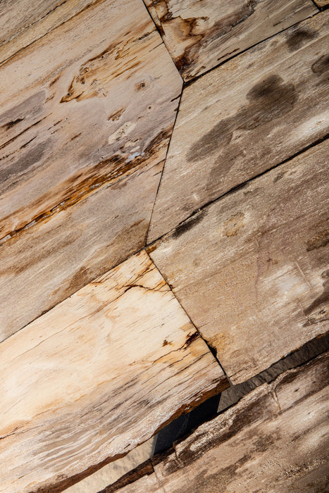 Salontafel Deeba Versteend Hout Bruin 85x130 cm