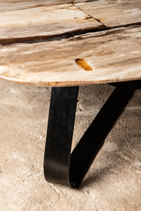 Salontafel Deeba Versteend Hout Bruin 85x130 cm