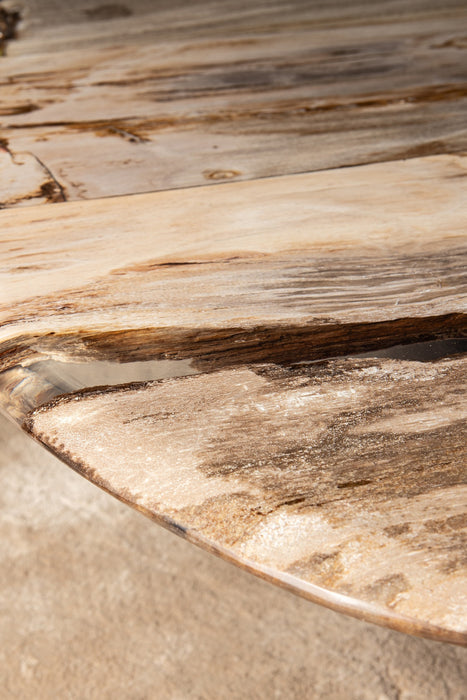 Salontafel Deeba Versteend Hout Bruin 85x130 cm