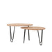 Salontafel Frisk Rough Mangohout 68 cm 68x43x44 cm-Salontafels-LABEL51