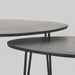 Salontafel Frisk Zwart Mangohout 68 cm 68x43x44 cm-Salontafels-LABEL51