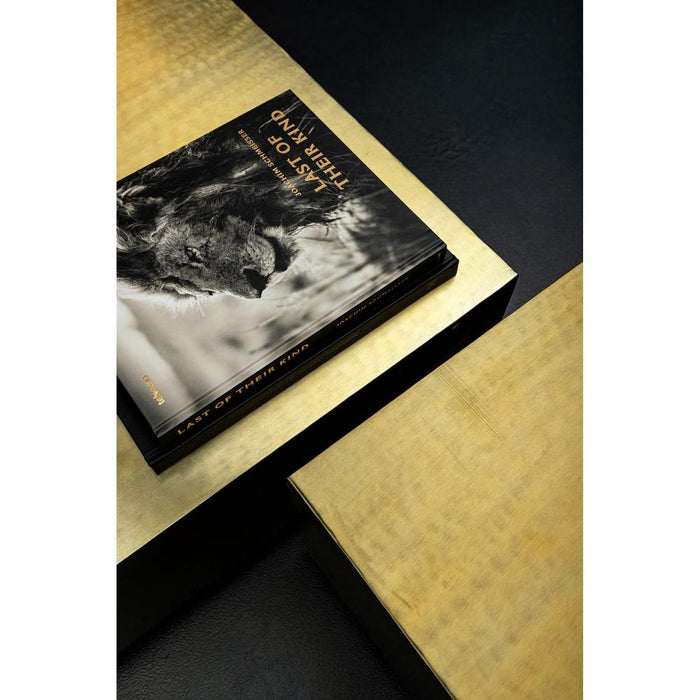 Salontafel Irvy Goud IJzer Coffeetable Vierkant Matt-Salontafels-PTMD