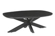 Salontafel Jesper Mangohout Zwart 120x75 cm-Salontafels-Livingfurn