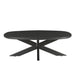 Salontafel Jesper Mangohout Zwart 120x75 cm-Salontafels-Livingfurn