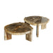 Salontafel Kayo Versteend Hout Beige Hoog-Salontafels-PTMD