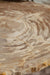 Close-up van het unieke, natuurlijke versteend hout tafelblad van de PTMD Khine salontafel met zichtbare nerven.