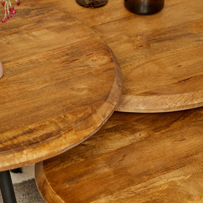 Salontafel Ohio | set van 3-Salontafels-Starfurn