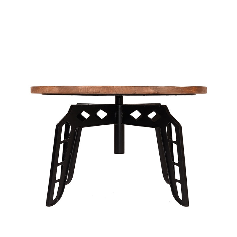 Salontafel Pebble Rough Mangohout 80 cm Rond 80x80x49 cm-Salontafels-LABEL51