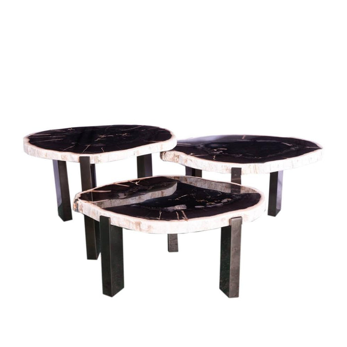 Salontafel Rudi Grijs Petrified Hout Coffeetable Nickel SV3-Salontafels-PTMD