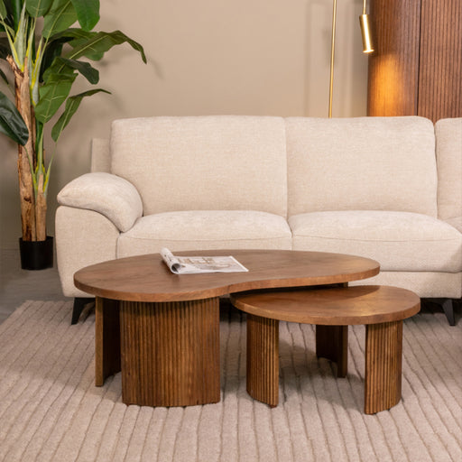 Salontafel Timon Nature Smooth Mangohout 100 cm 100x58x40 cm-Salontafels-LABEL51