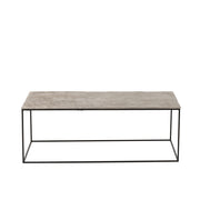 Salontafel Zilver Ijzer Rechthoekig 49x110 cm-Salontafels-J-Line