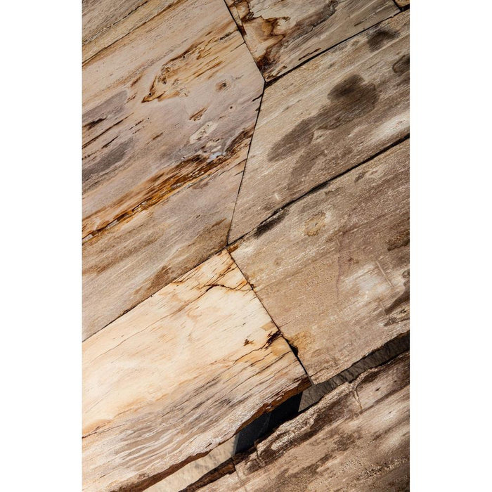 Salontafels Salontafel Deeba Coffeetable Petrified Hout 130-Salontafels-PTMD