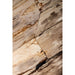 Salontafels Salontafel Deeba Coffeetable Petrified Hout 130-Salontafels-PTMD