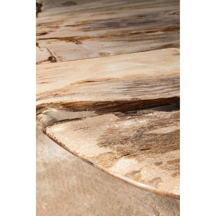 Salontafels Salontafel Deeba Coffeetable Petrified Hout 130-Salontafels-PTMD