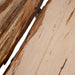 Salontafels Salontafel Deeba Coffeetable Petrified Hout 95-Salontafels-PTMD
