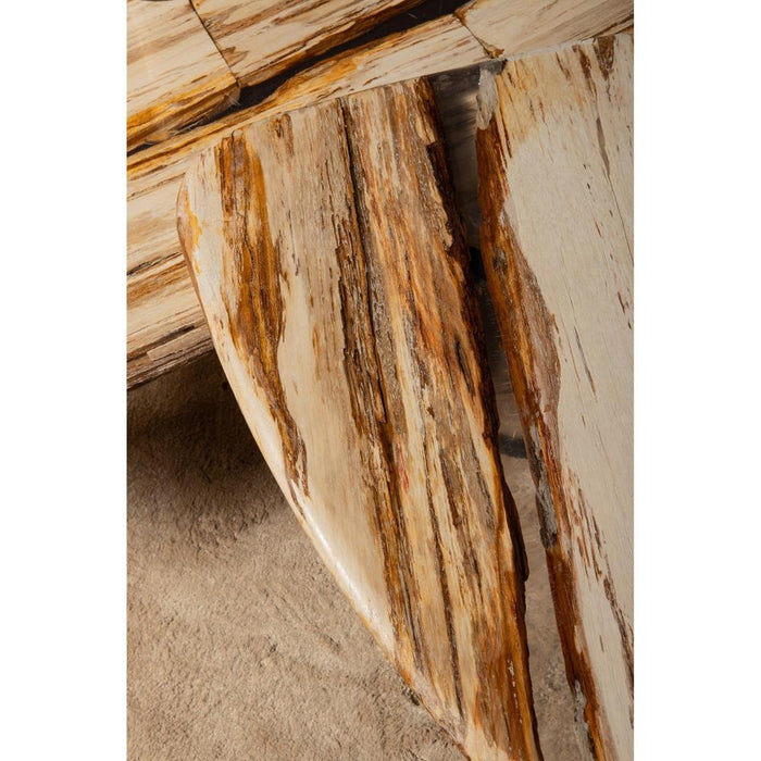 Salontafels Salontafel Deeba Coffeetable Petrified Hout 95-Salontafels-PTMD