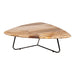 Salontafels Salontafel Deeba Coffeetable Petrified Hout 95-Salontafels-PTMD