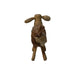 Schaap Shawn klein - 32x14x32 - Wit/bruin/naturel - Teak/geitenhuid-Krukjes-HSM Collection