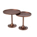 Set Van 2 tafels aluminium brons-Bijzettafels-J-Line