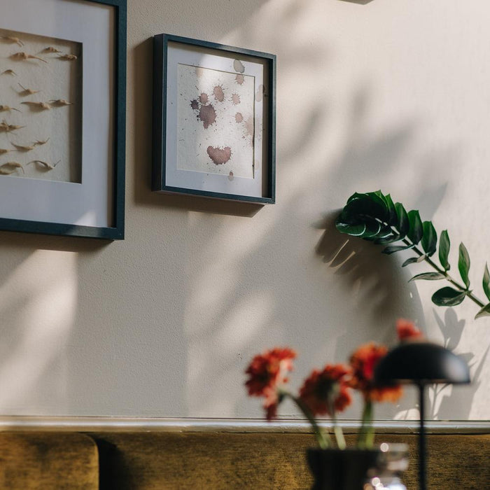 Spinder x Eva van de Ven - 1L Matte Muurverf - Liv-Verf-Spinder