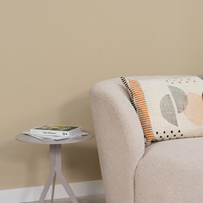 Spinder x Eva van de Ven - 1L Matte Muurverf - Thomas-Verf-Spinder