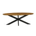 Starfurn Eetkamertafel Brandy | Ovaal | 240 cm-Eettafels-Starfurn