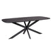 Starfurn Eettafel Elegance Black | Deens ovaal | 200x100 cm-Eettafels-Starfurn