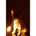 Tafellamp Wit Polykunsthars 15 cm 15x25x29 cm-Tafellampen-J-Line