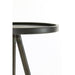 Zuil 30x80,5 cm ENVIRA zink-Plantenstandaards-Light & Living